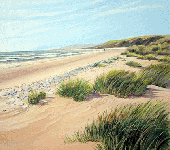 Windswept - Acrylic by Isabel Blincow